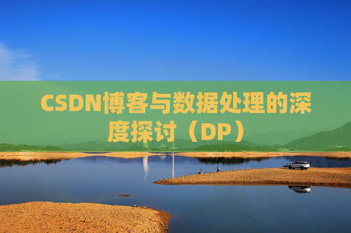 CSDN博客与数据处理的深度探讨（DP）
